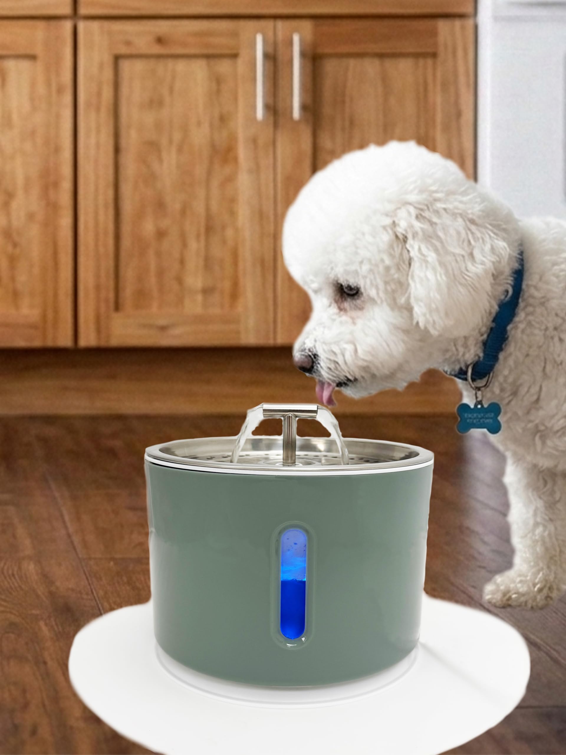Level One Pets Duo - Filtro sumergible 2 en 1 para acuario con luz LED (filtros de hasta 3 galones)
