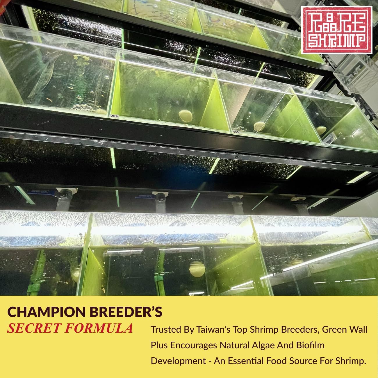 Green Wall Plus - Professional Algae Wall Growth Enhancer for Shrimp Tanks - 15 Tablets - Promotes Algae, Boosts Baby Shrimp Survival, Improves Water Quality - Used by Award-Winning Taiwan Breeders