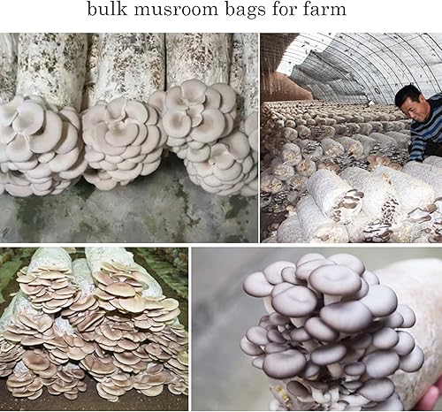 Miniatura 9 de Paquete de 100 bolsas de cultivo de hongos, 6 molinos con filtro de micrones, suministros de desove transpirables y sellables, extra gruesas,