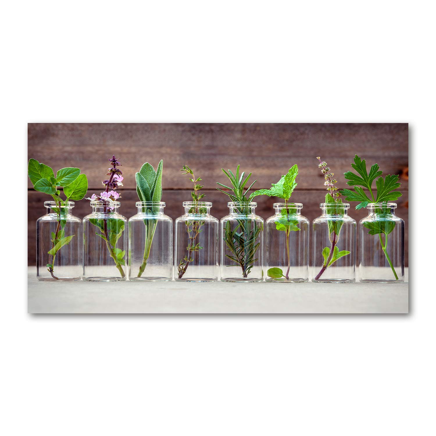Tableau en verre acrylique 120x60cm avec motif plantes en pot pour décoration murale moderne