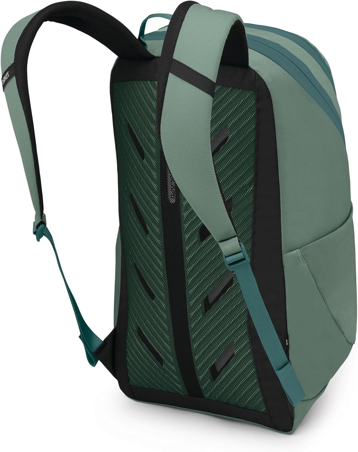 Osprey Astronova Campus Laptop Backpack - Lightweight Everyday Bag with Laptop Sleeve and Bottle Pockets