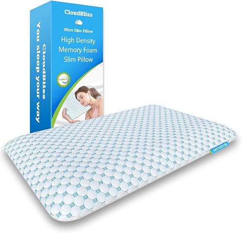 CloudBliss Thin Memory Foam Pillow 2.75 Inch Standard, Reversible Breathable Cover for Stomach and Back Sleepers