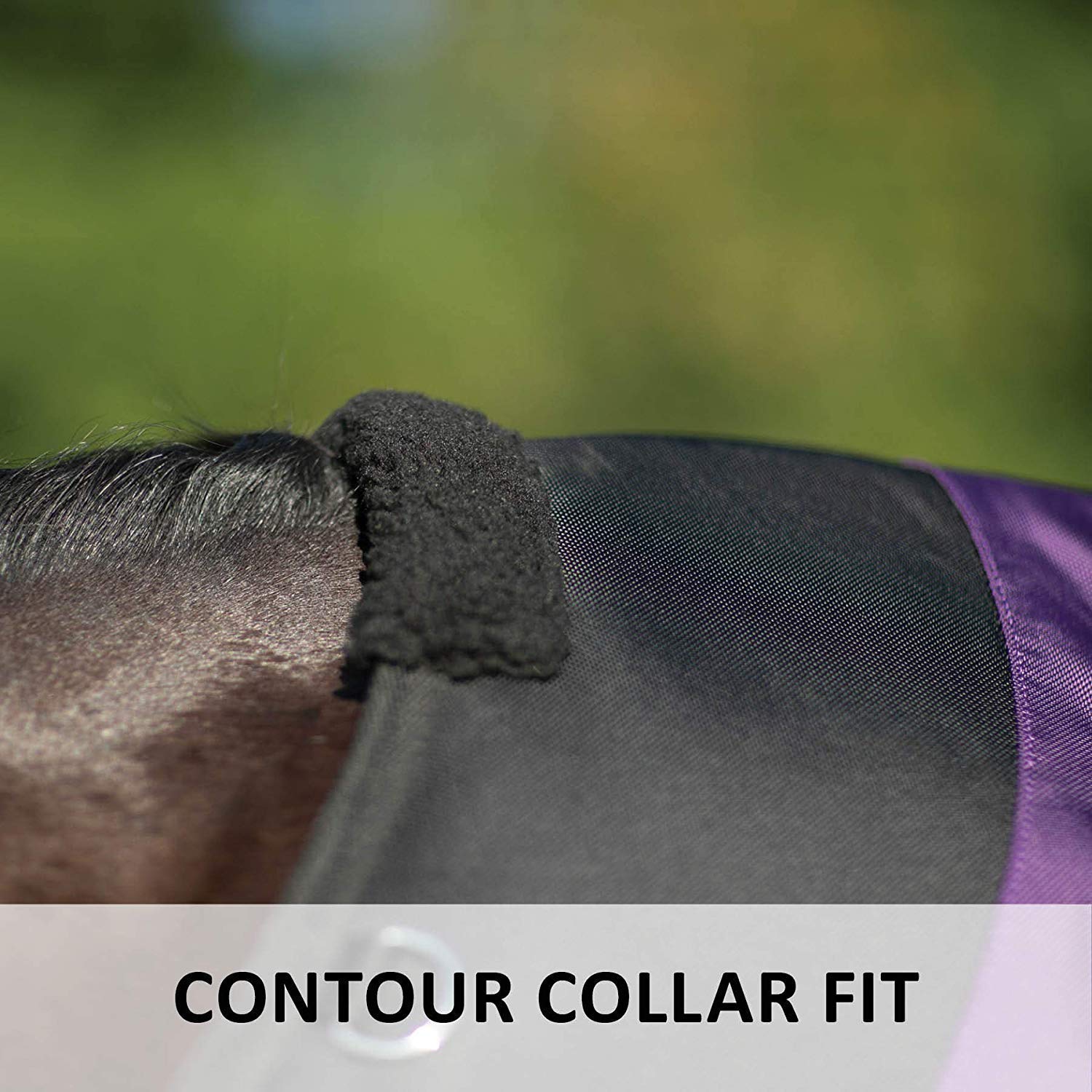 Tough 1 1200D Combo T/O Blanket 300g 78In Purple