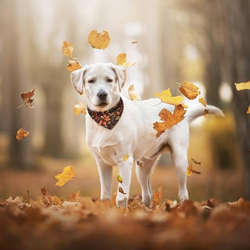 Miniatura 6 de PAWCHIE Pañuelos para perros, pequeños estilos reversibles, bufandas triangulares para mascotas, ajustables con dos broches de presión, accesorios