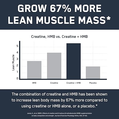 Miniatura 8 de SteelFit Creatine HMB Powder - 0.18 oz Creapure Creatine Monohidrato en polvo, 0.11 oz myHMB y 1000 UI de vitamina D - Suplemento de entrenamiento