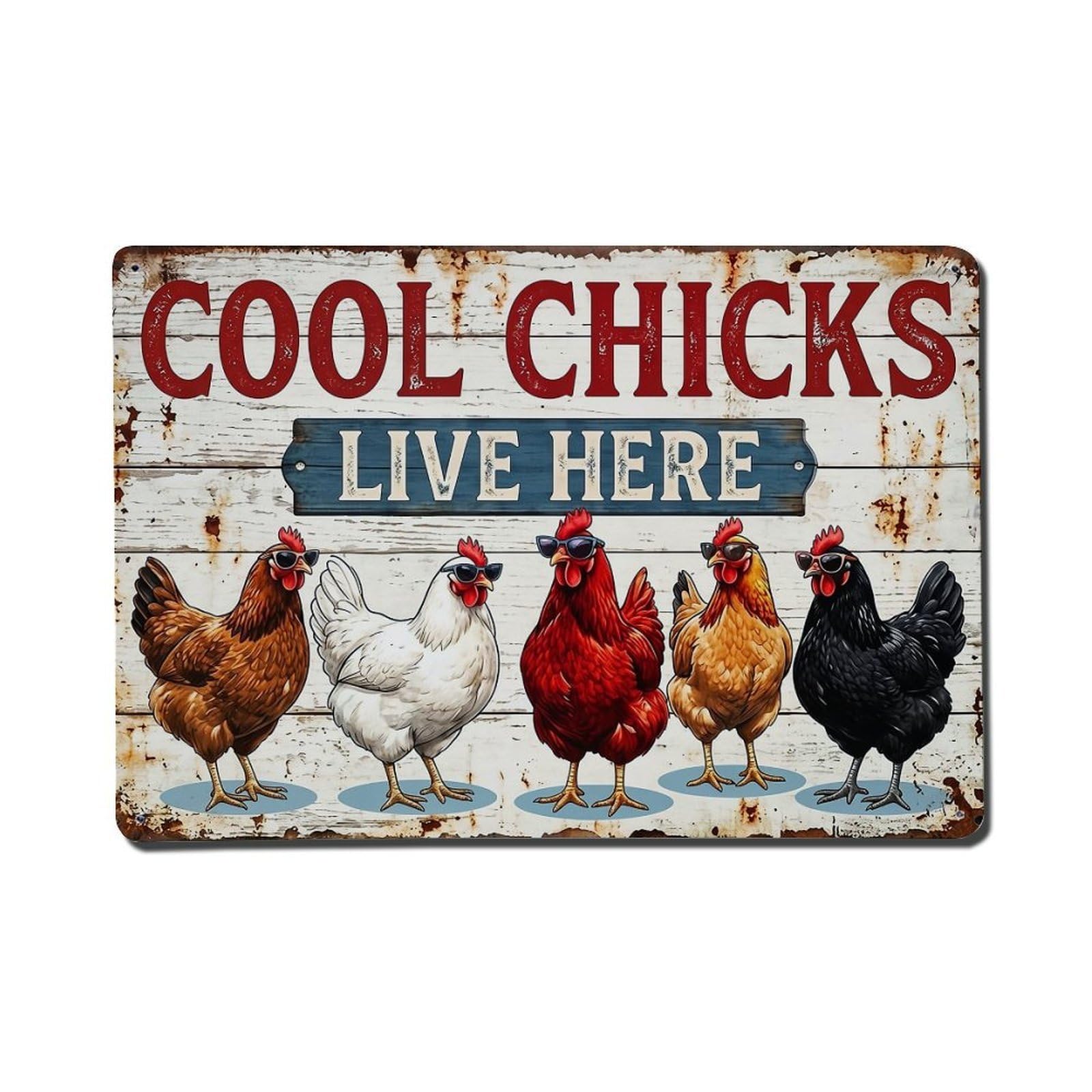 Jdfenggu Vintage Cool Chicks Live Here Sign Retro Metal Tin Sign, Metal Poster For Bar, Home, Man Cave, Kitchen, Laundry Room Art Decor 8X12 Inch