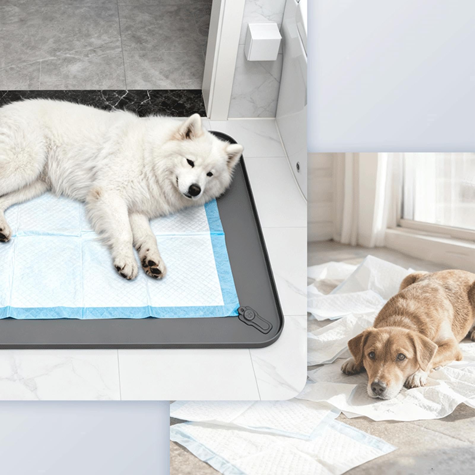 Vasino per Cani da Interno Bordo Alto in Silicone Antiscivolo e a Tenuta | Vassoio per Cani Toilette per Animali Domestici per Casa Dormitorio Camera da Soggiorno Pavimento Coperta