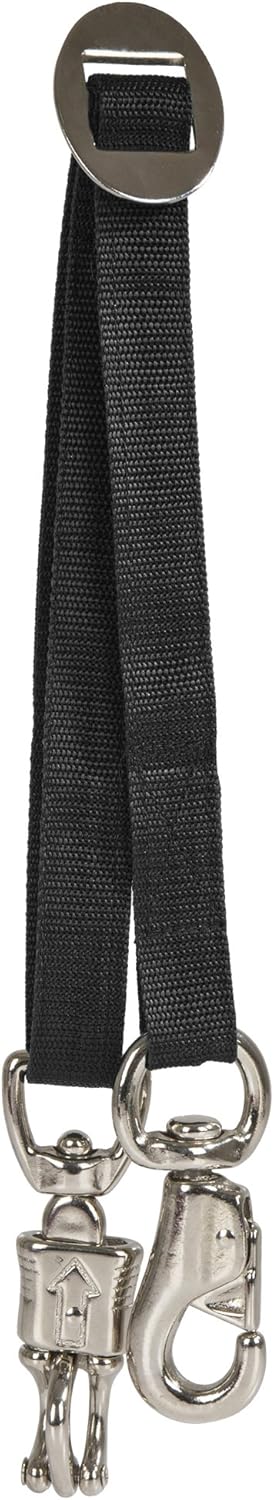 Intrepid International Trailer Tie for Horse Hauling Intrepid International Trailer Tie for Horse Hauling