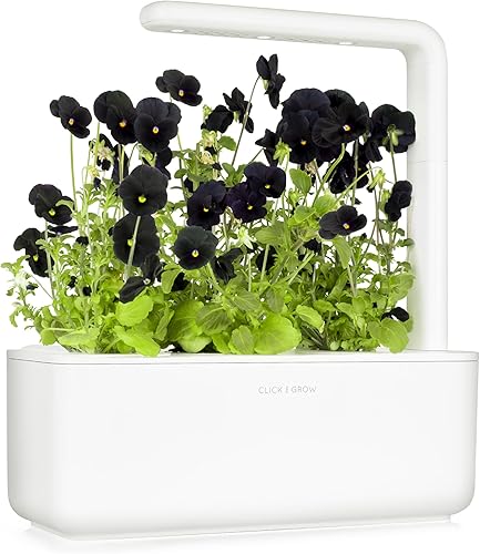 Miniatura 2 de Click and Grow Smart Garden - Cápsulas de plantas de pensamiento negro, paquete de 3