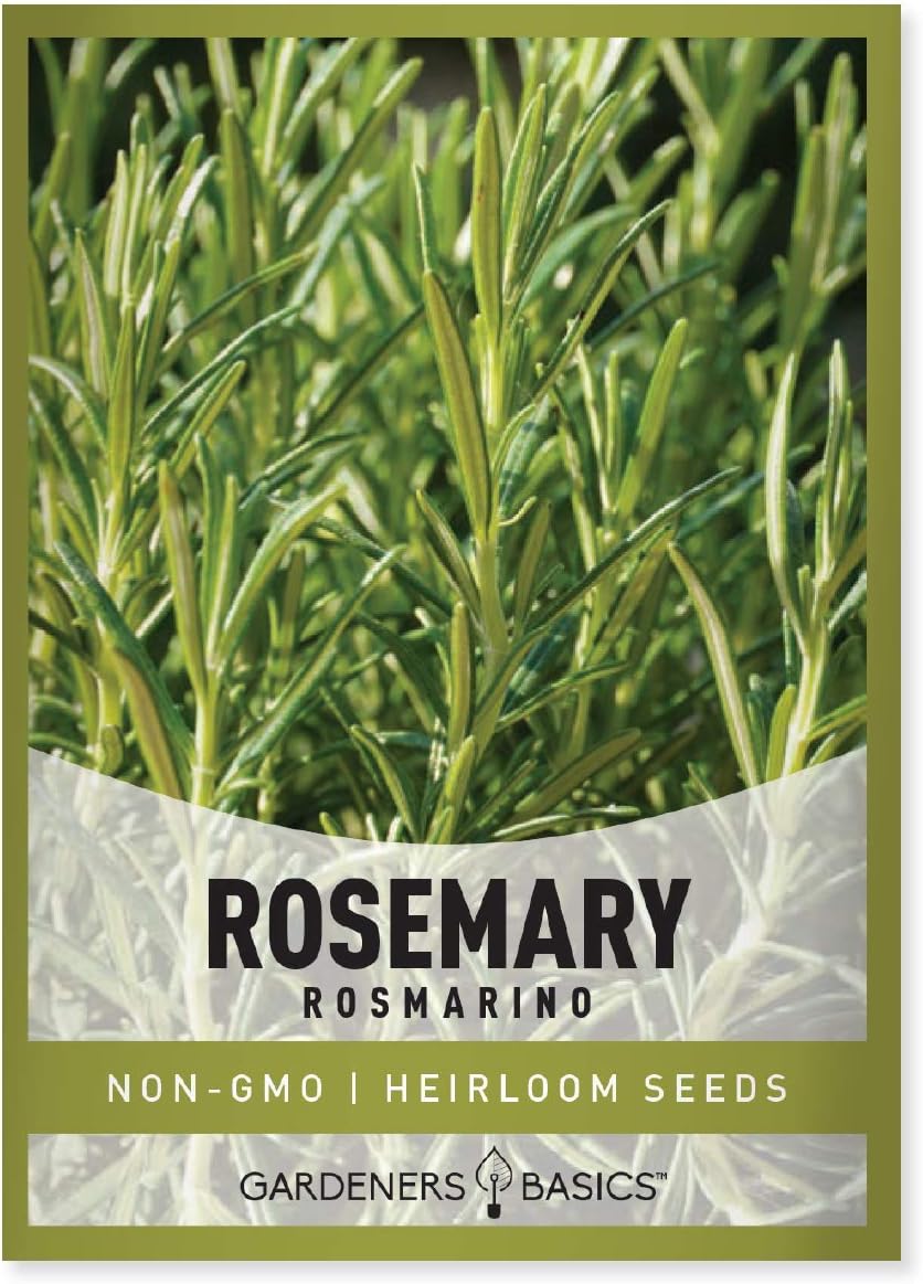 Gardeners Basics, Rosemary Seeds for Planting - It is A Great Heirloom, Non-GMO Herb Variety- Great for Indoor and Outdoor Gardening