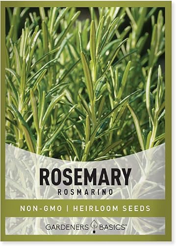 Gardeners Basics, Semillas de romero para plantar: es una gran variedad de hierbas heredadas sin OMG, ideal para jardinería en interiores y