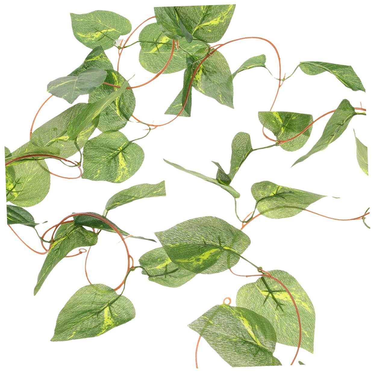Toyvian 6piezas Decoración de Plantas para Reptiles para Terrarios Enredaderas Artificiales de Plástico para Decorar Terrarios de Serpientes Plantas Colgantes para Cajas de Reptiles