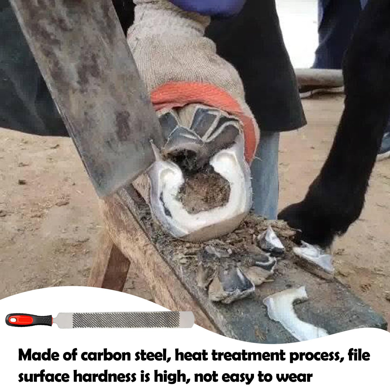 Escofina Para Pezuñas, Lima De Pezuña De Caballo, Escofina Para Pezuñas De Caballo, Escofina De Caballo, Acero Al Carbono, De Doble Cara, Con Mango, Para Reparar Herraduras, Afilar Dientes