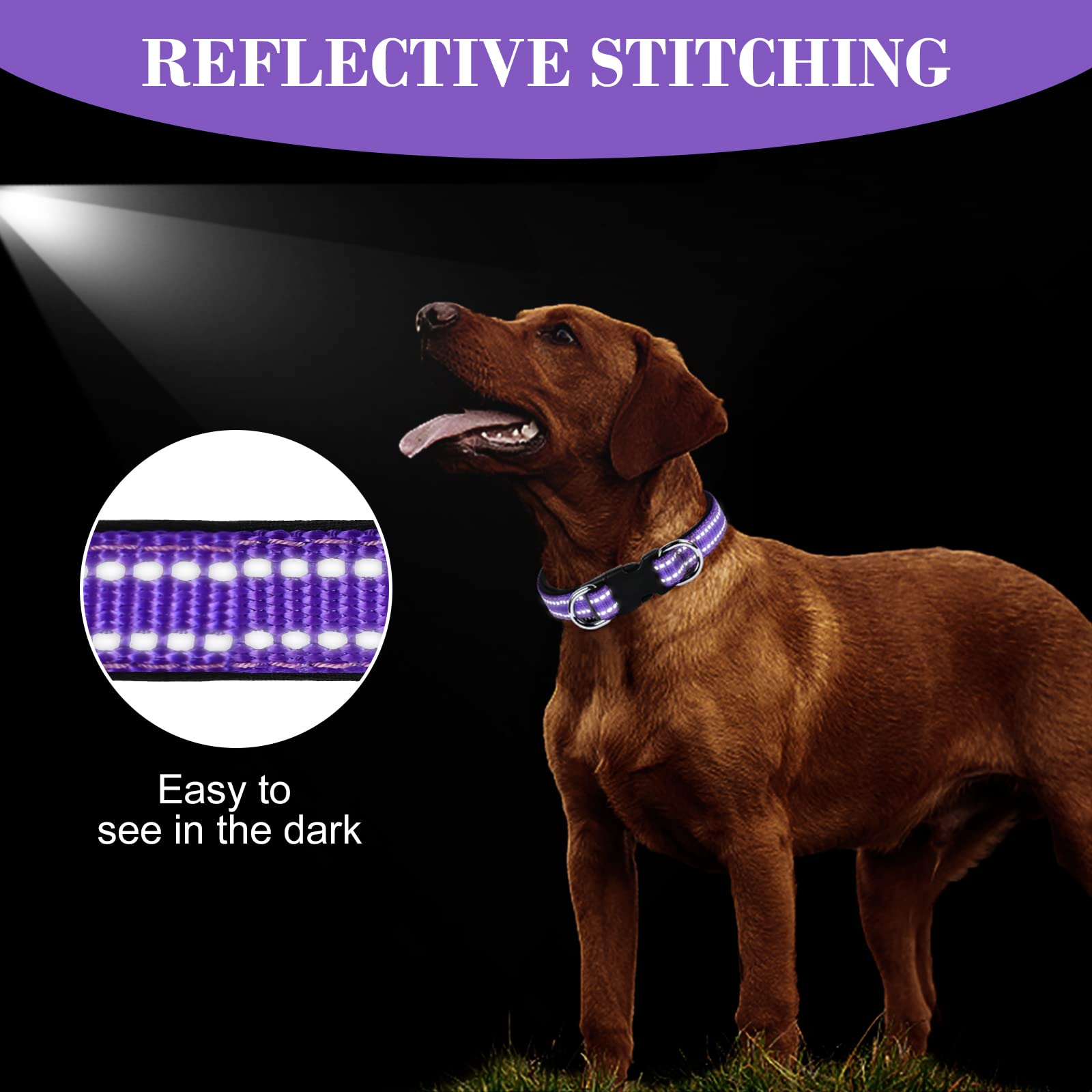 AUAUY Collare Cane, Collare per Cani in Nylon Riflettente, Regolabile Collari, Anello Doppia D, Fibbia Staccabile, Morbido e Imbottito, per Cani di Taglia Piccola, Media e Grande (Porpora-L)