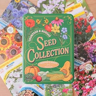 Seed Collection Storage Tin With 10 Packets of Flower Seeds by Thompson and Morgan