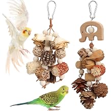 Litewoo 2PCS Natural Bird Foraging Parrot Shredding Chew Toys for Parakeet
