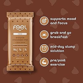 Feel Vegan Protein Bars | Brownie Chocolate Chip | Keto | Gluten Free | Organic | Lions Mane | 15g Plant Protein | Low Carb | High Protein | Dairy Free | Low Sugar | Nut, Grain, Soy Free | 10 Pack