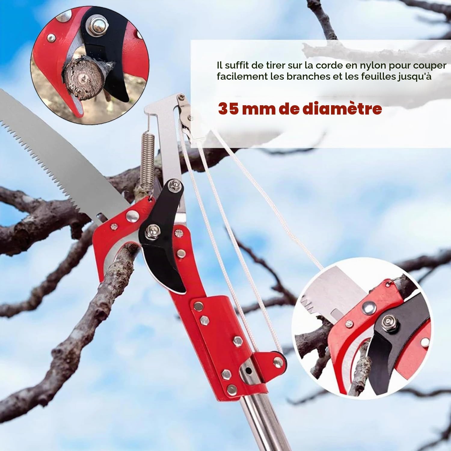 Coupe Branche Telescopique,Scie d'Élagage Manuelle,Secateur Telescopique Réglable En Hauteur Sur 4 m,Avec 9 Poteaux Alliage Aluminium Pour Élagage Coupe Branches Hautes Palmiers Arbustes(Bleu)