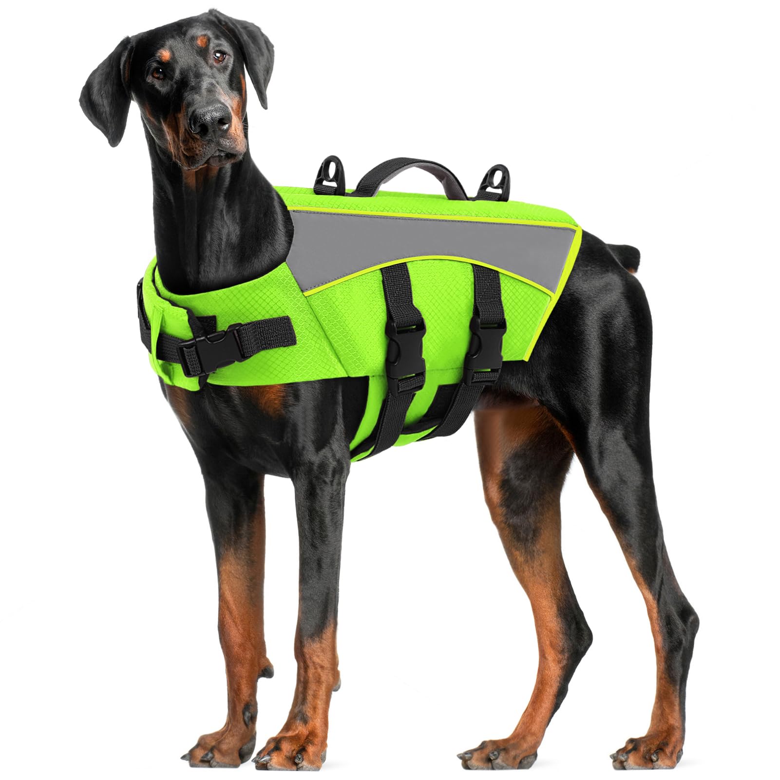 CITÉTOILE Giubbotto Salvagente per Cani - Giacca Galleggiante Riflettente con Maniglia, Galleggianti e Cinture Regolabili per Sicurezza in Acqua, Piscina, Verde, XL