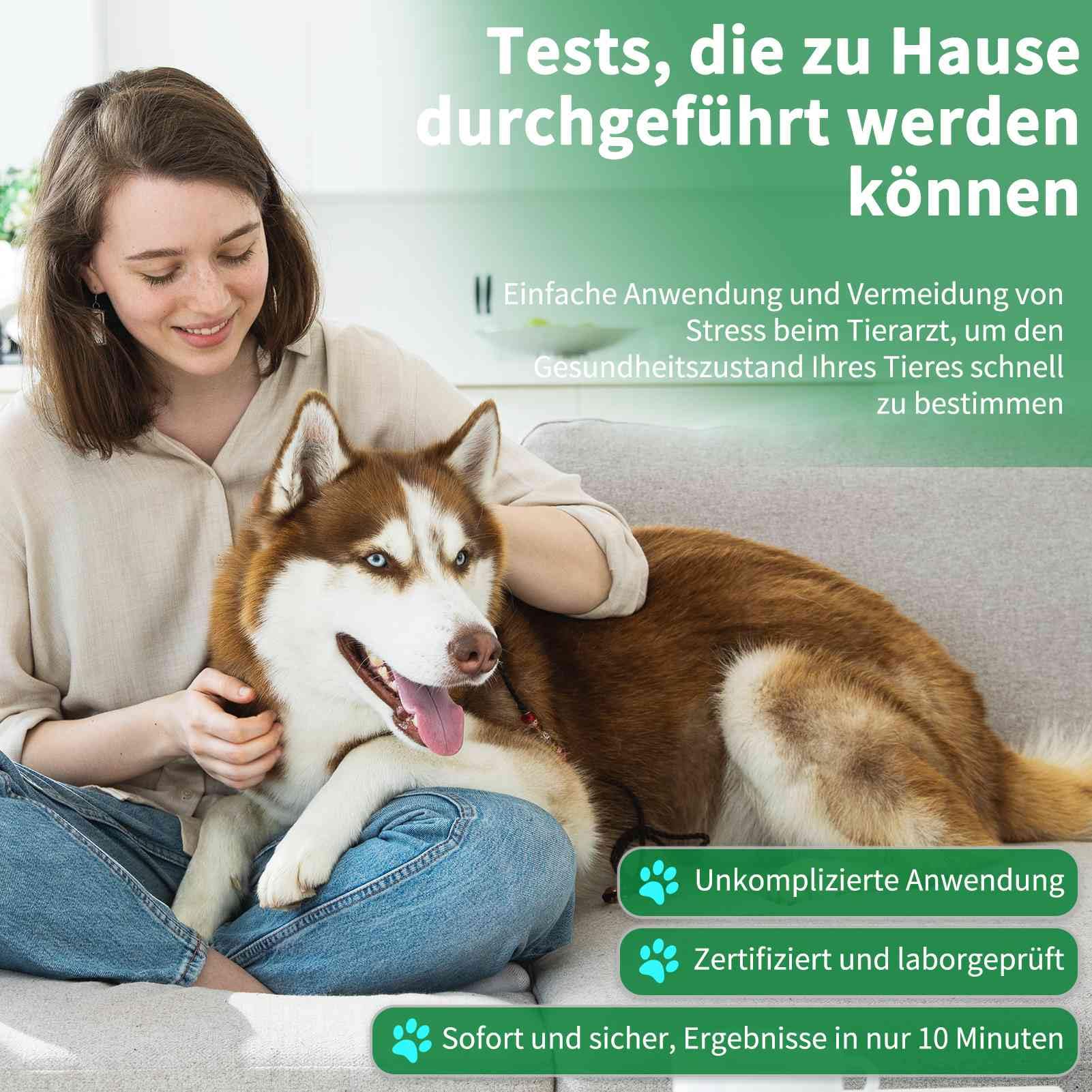 3 x Giardien test rapido per cani e gatti Giardienttest di qualità Giardien