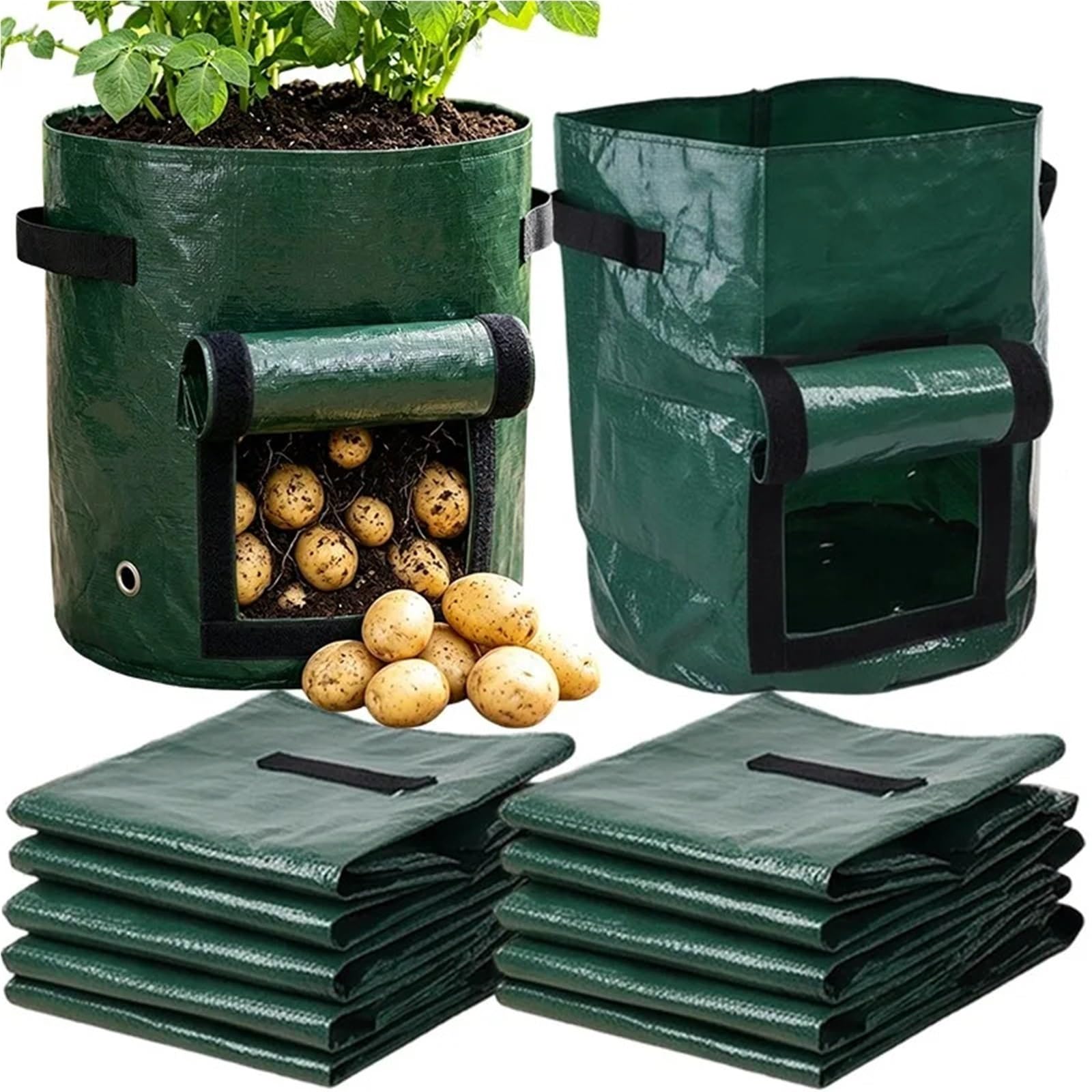 Bolsa para Residuos de Jardín Bolsa de cultivo patatas PE 1/2 piezas | Con ventana de cosecha y manijas(35x45cm,2pcs)