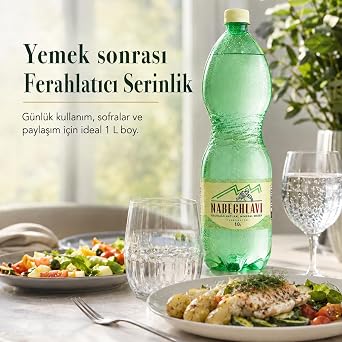 Nabeghlavi Natural Mineral Water 1000Ml x 6