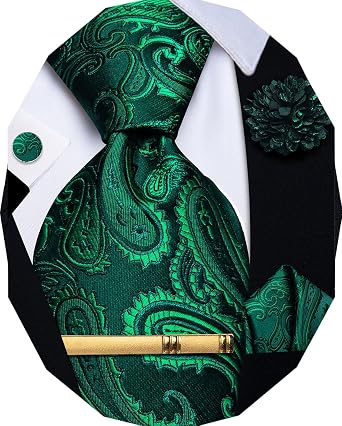 YourTies Paisley Ties for Men Necktie Set Hanky Cufflinks Tie Clip Brooch