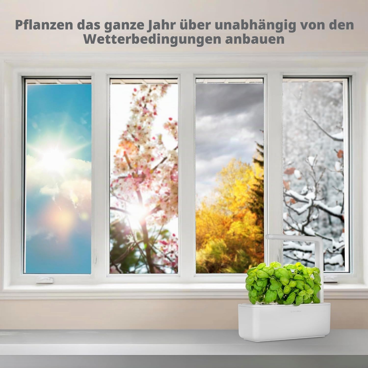 Click and Grow Growbox, Smart Garden, einfacher als Hydroponisches anzuchtsystem, Indoor Garten, kräutergarten, Indoor gewächshaus mit 3 Plant pods dabei, Weiß