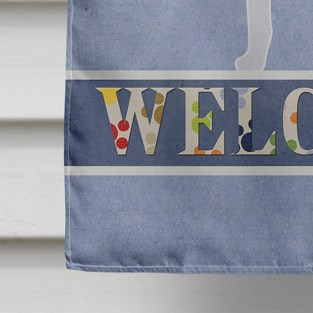 Caroline's Treasures BB5502CHF American Foxhound Welcome House Flag Large Porch Sleeve Pole Decorative Outside Yard Banner Artwork Wall Hanging, Polyester, House Size, Multicolor