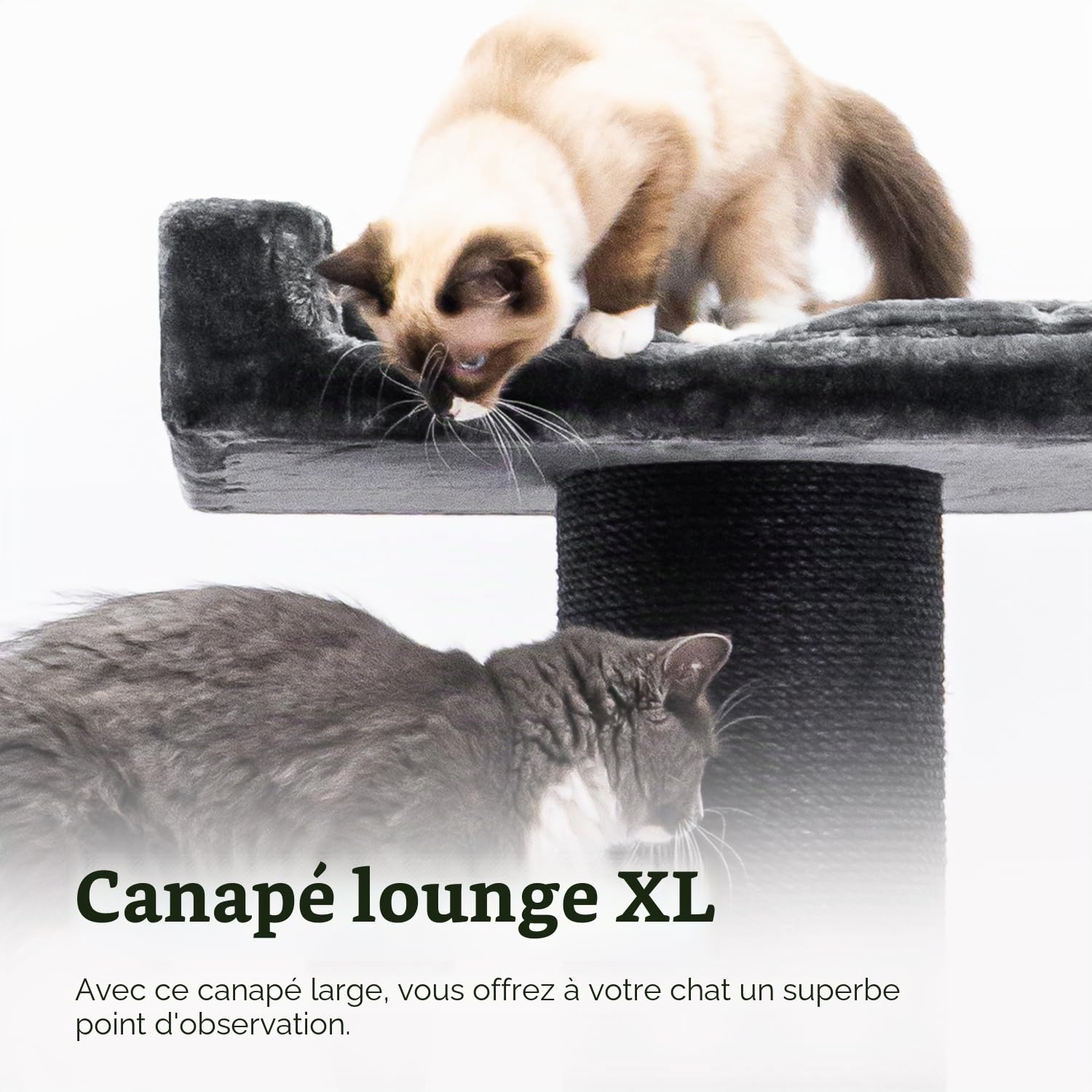 Petrebels Maine Coon Arbre à chat XXL de 2 mètres de haut, arbre à chat pour grands chats, extra stable pour plusieurs chats, 2 hamacs, 2 grottes pour chat, Sibérie 200, arbre d'escalade épais de 20
