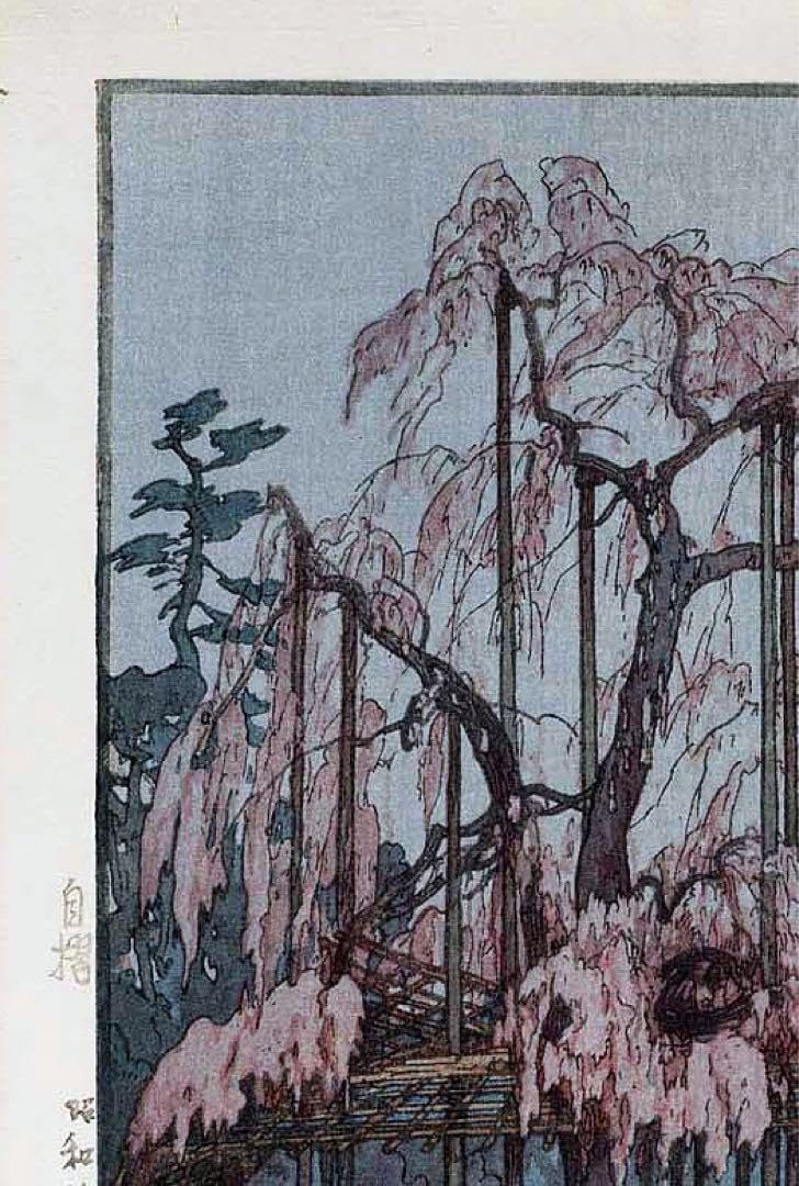 たれぱんだ　限定複製原画　春25/46 カワサキから「Ninja ZX-25R SE」 NEWグラフィックが登場！2022