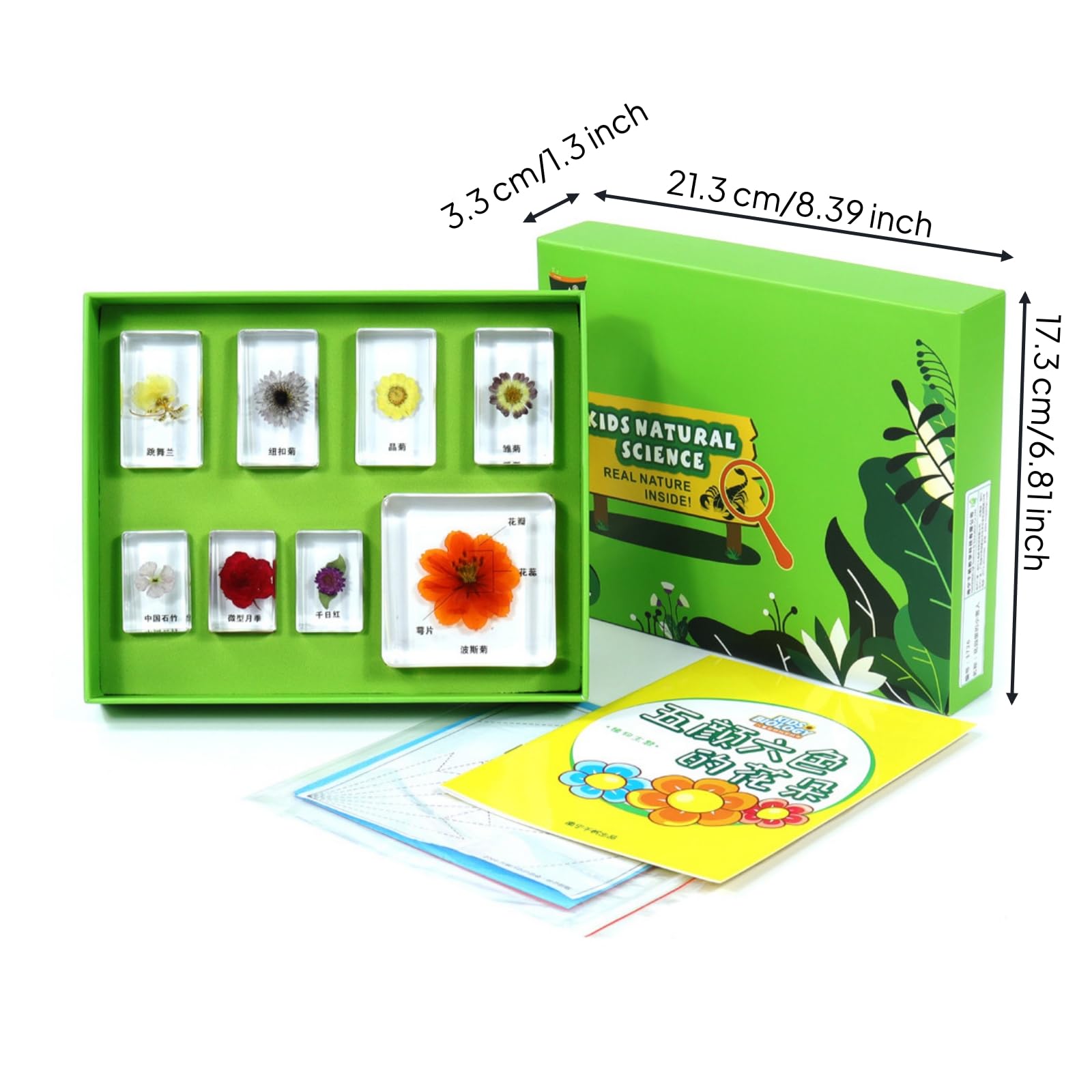 Qianly Kit Didattico con Esemplari in Resina Educativo Kit con Scatola di Stoccaggio Pratico Gioco Scientifico per Studenti, Bambini, Aula, Scuola, Casa, Array, Verde Fiori Colorati