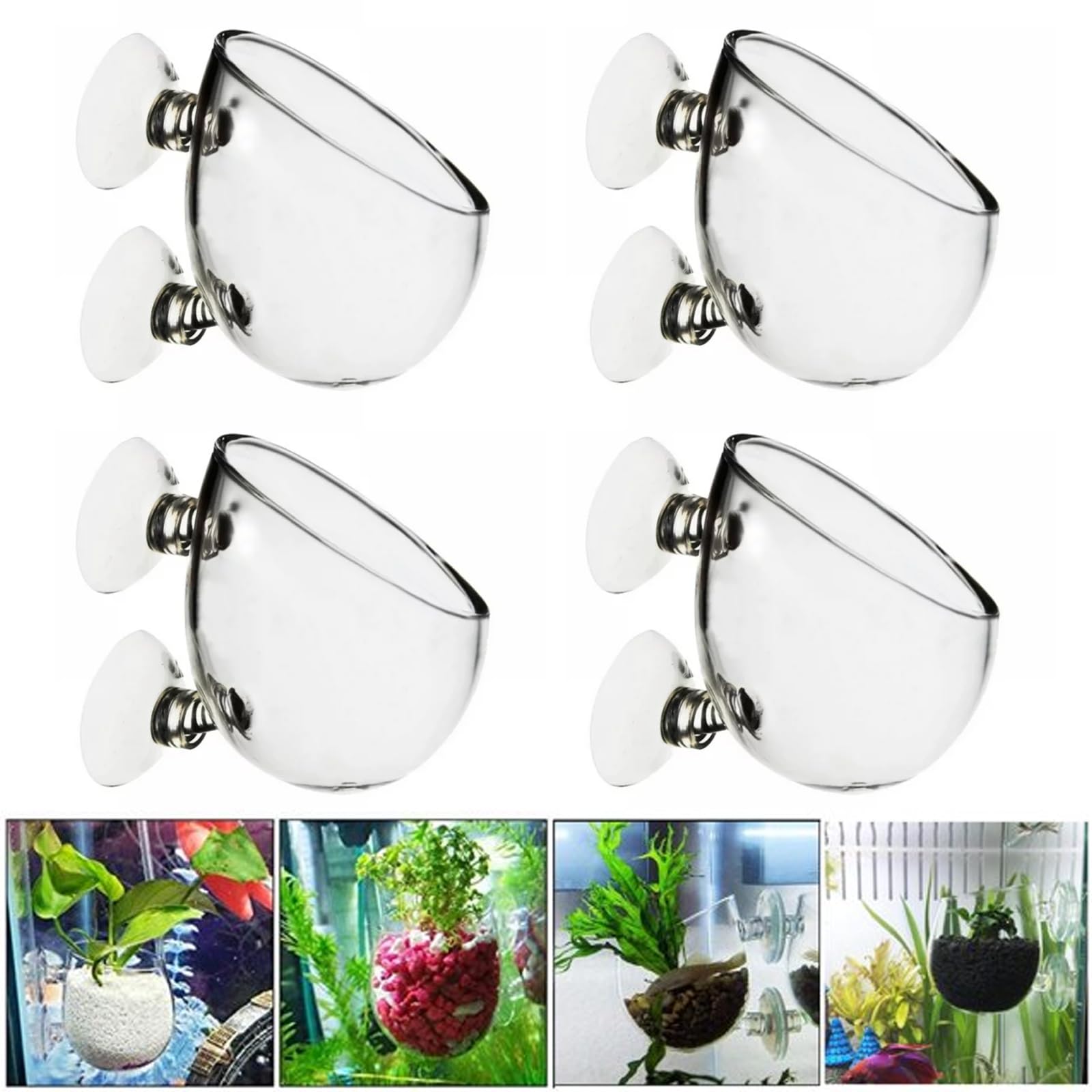 Nizirioo - Maceta para plantas de agua (4 unidades, con 8 ventosas, soporte para plantas de cristal, para acuario, decoración de acuario, transparente, 4 unidades)