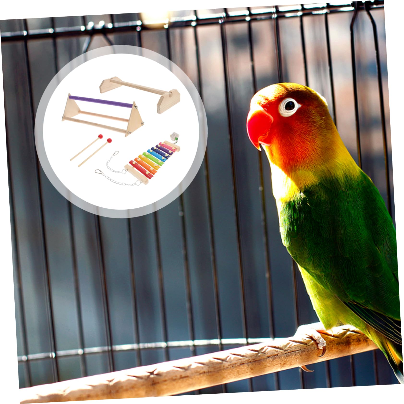 1set Accessori Per Kit Perch e Xilofono Per Galline e Domestici Per e Attività Pappagalli