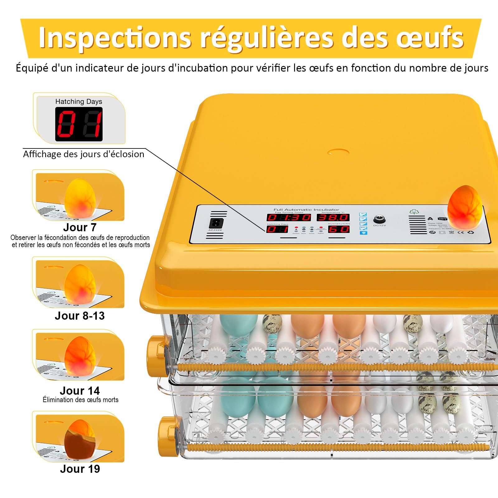 Couveuse Oeuf Automatique de 120 Oeufs avec Retournement des Oeufs et Moniteur d'humidité, Contrôle de Température, Incubateur avec 5 Modes d'incubation Automatiques et jours d'incubation