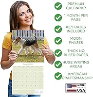 Vista 1177 de Razas de Perros 2017