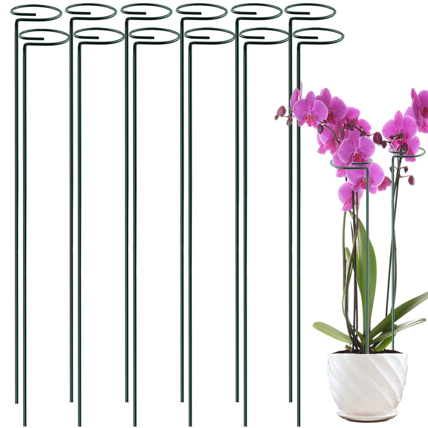 12 Pack 36 inch Plant Support Stakes,Single Stem Plant Support Stake Single Plant Stem Garden Flower Support Stake Steel Plant Cage Support Ring for Orchid Gladiolus Iris Dahlia Amaryllis Rose Lily