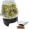 Browin® Sprossenglas zur Anzucht von Keimsprossen 745747 580 ml Keimglas mit Gitterdeckel Keimgerät für Kresse Samen Alfalfa Sprossen Rucola Samen inkl Rettichsamen