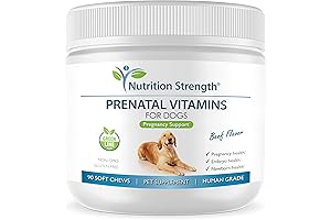 AliZn Prenatal Vitamins for Dogs to Prevent Pregnancy