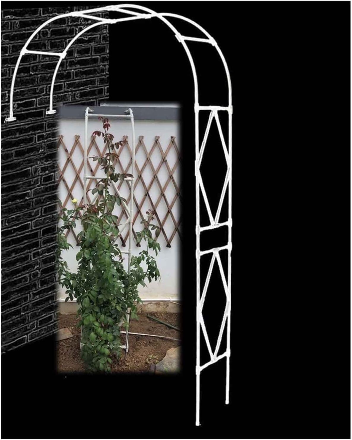 Support d'arche de jardin de roses en métal ELzEy avec fixation murale 2,4m