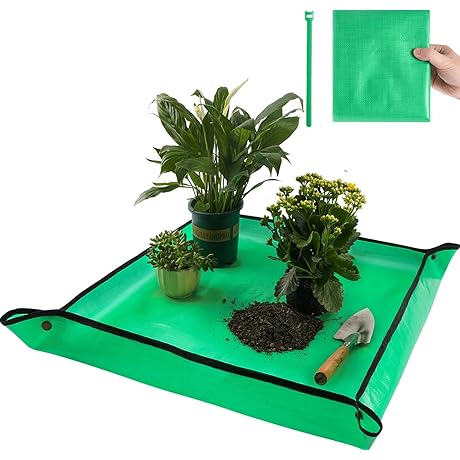 Repotting Mat: Enhancing Monstera Care