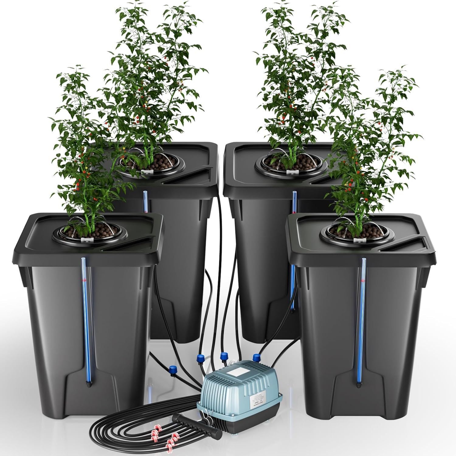 Système hydroponique DWC Huanyu pour stabiliser et nourrir vos plantations intérieures