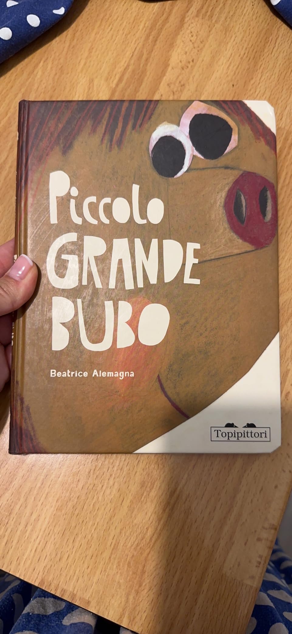 Piccolo grande Bubo. Ediz. illustrata Alemagna, Beatrice Amazon.it