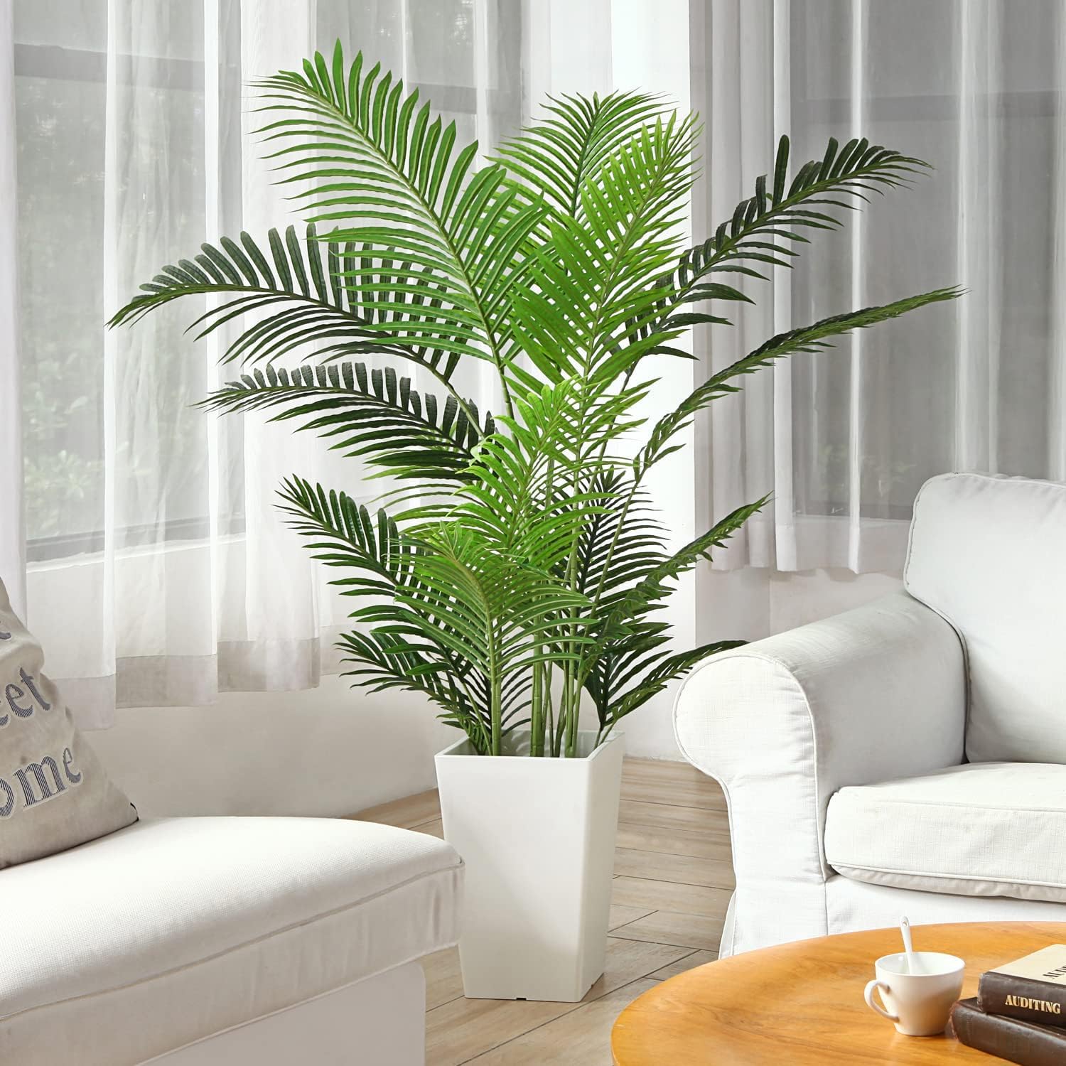 Indoor plants for living room big,Areca palm (Pack of 1) (B0D9C1S67J) Amazon Price History, Amazon Price Tracker