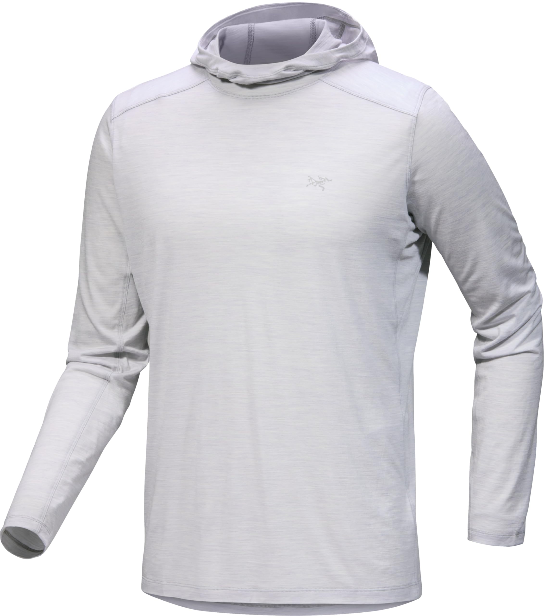 Arc'teryx Arc'teryx Ionia Merino Wool Hoody Men's | Soft Light