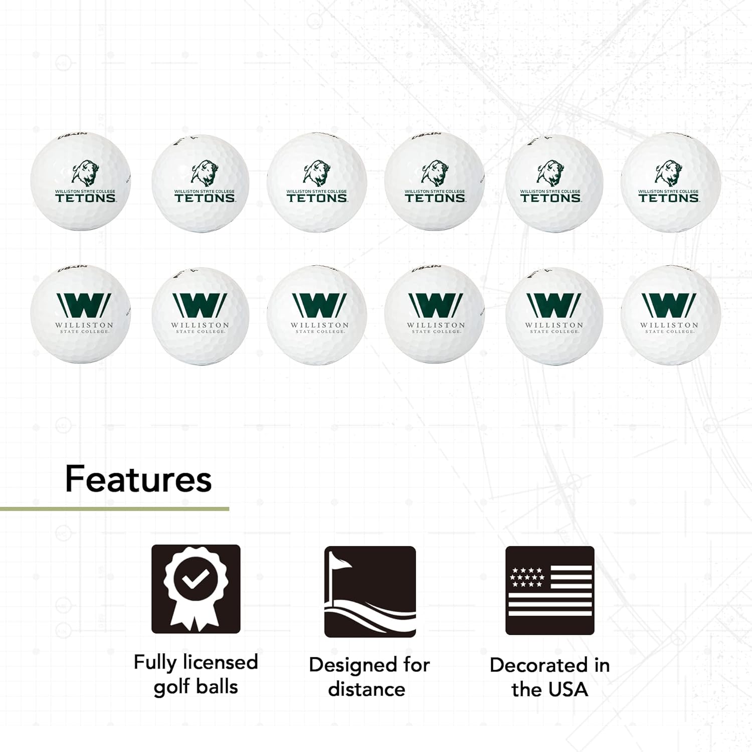Desert Cactus Williston State College Golf Balls 12 Pack – WSC Tetons Full Color Dozen – Officially Licensed Sport Team Accessory