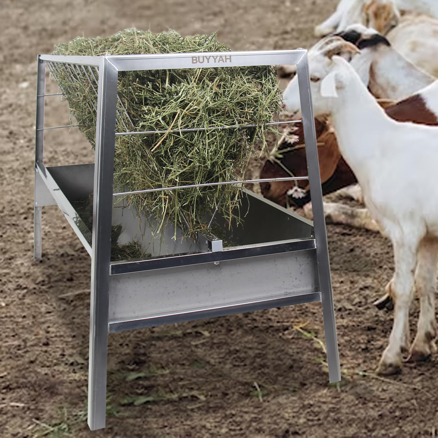 BUYYAH Stainless Steel Pasture Feeder, 5Feet, 77 Gallon