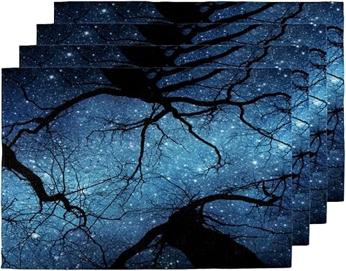 Classic Sky Pattern Placemats Set of 4 Table Mats Washable Placemat Waterproof Place Mats for Party Home Dining Table Decor 18x12 in