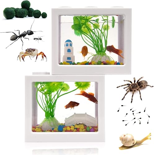 Pequeño tanque de peces Betta, acuario de arco de peces con grava, plantas y rocas, pecera pequeña para tortuga, reptil, medusas, pez dorado,