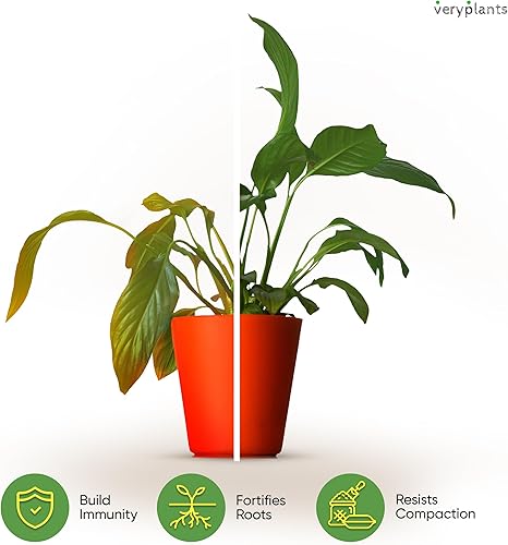 Miniatura 5 de Molly's Aroid Mix - Mezcla de maceta sin suelo prémium para plantas de interior - Drenaje rápido, grueso y más fácil de regar en comparación con el